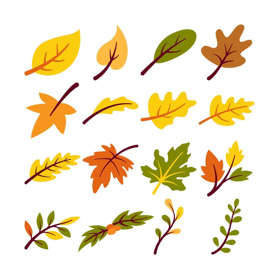 ilustração de vários ramos e folhas conjunto. isolado no fundo branco. elementos para necessidades de outono vetor