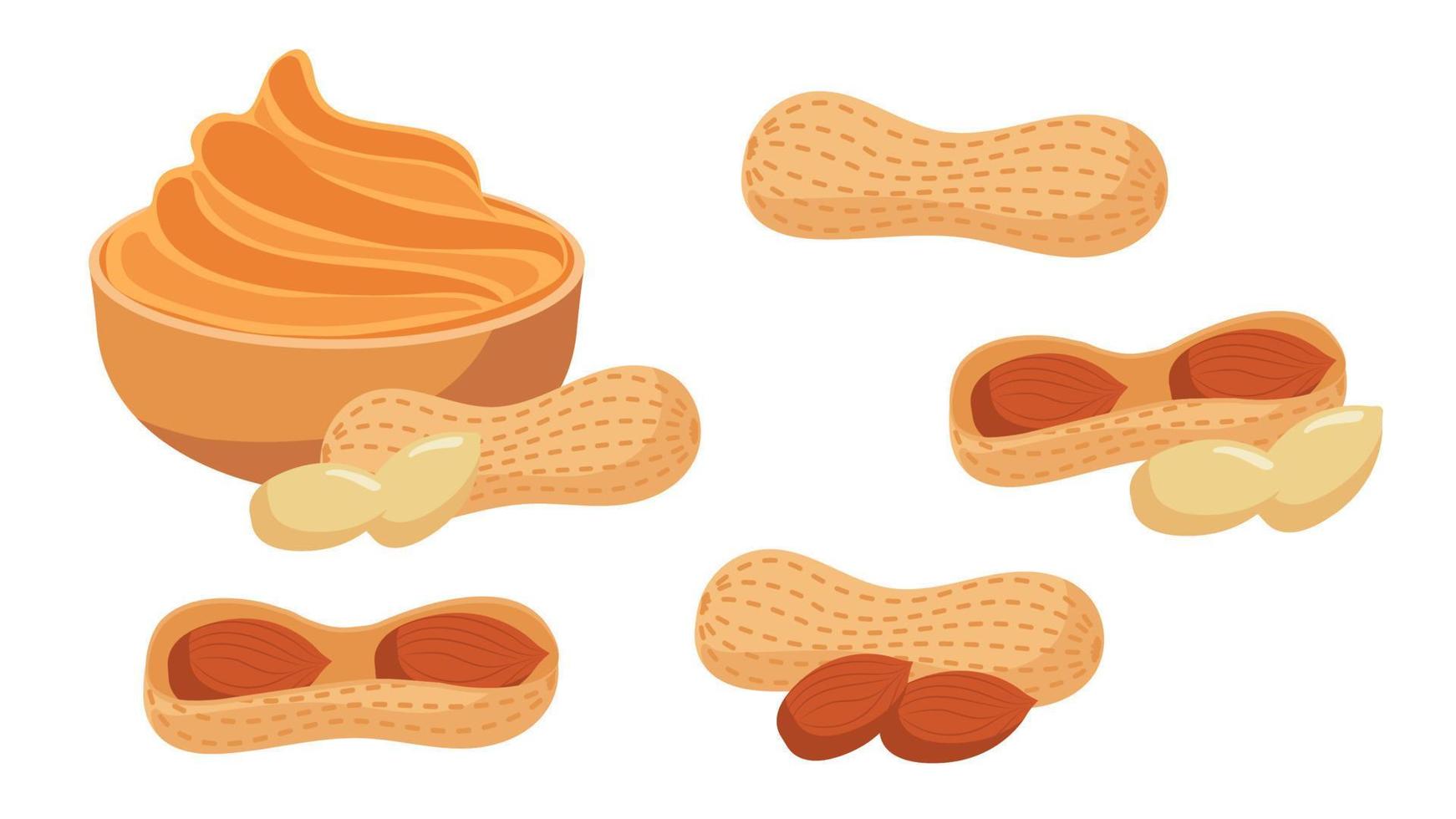 conjunto de coleção de comida de desenho animado amendoim e manteiga de amendoim vetor