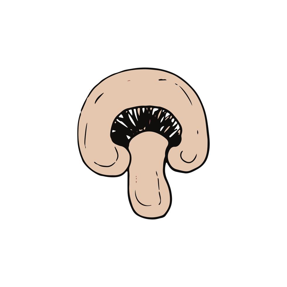cogumelo champignon metade esboço doodle desenhado de mão. ícone, cartão, cartaz, ingrediente alimentar de natureza monocromática vetor