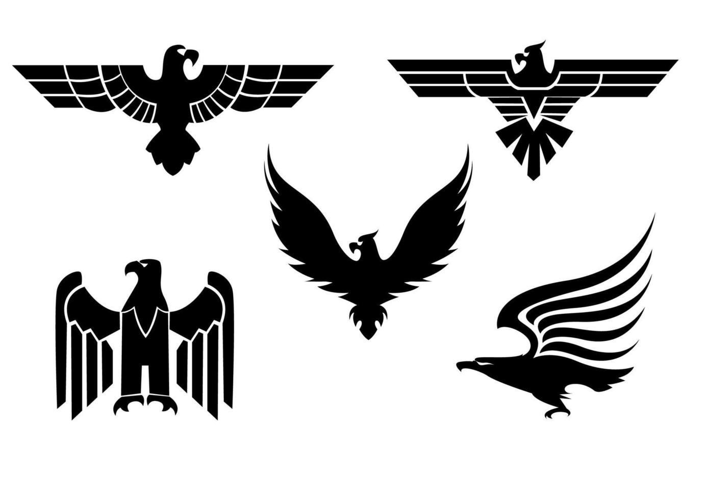 tatuagens de águia, falcão e gavião vetor