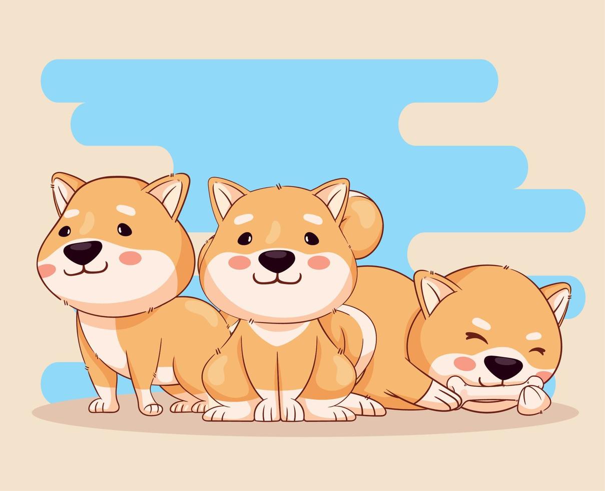 três personagens shiba inu vetor