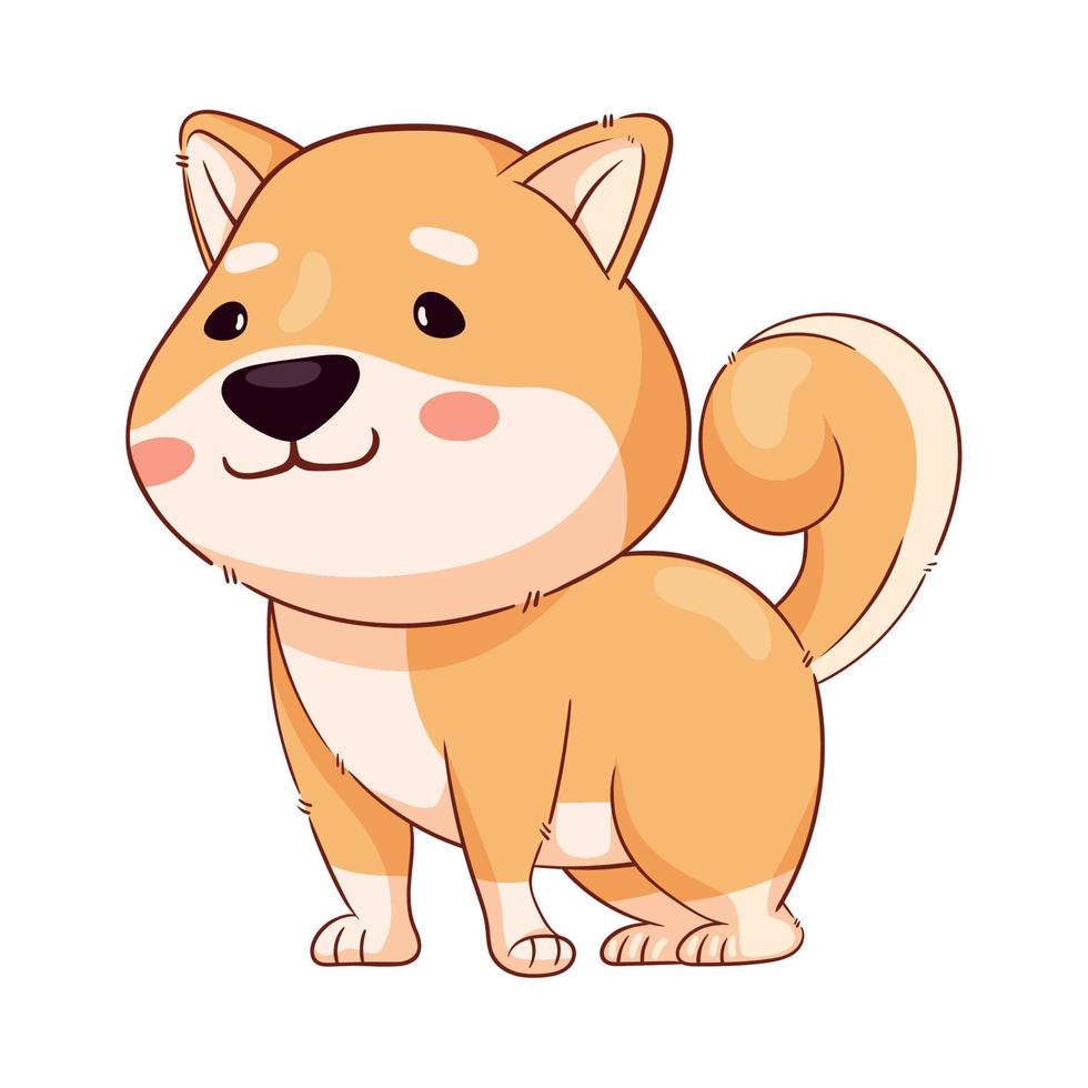 shiba inu em pé vetor