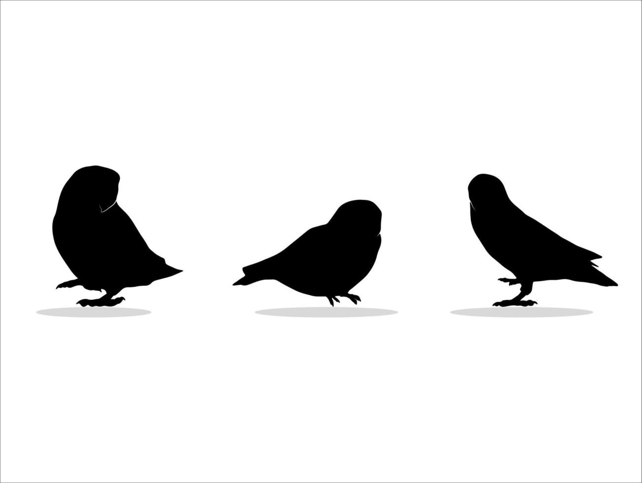 três ilustrações de silhueta de pássaro preto vetor