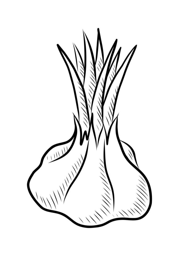 ilustração em vetor preto de alho isolado em um fundo branco