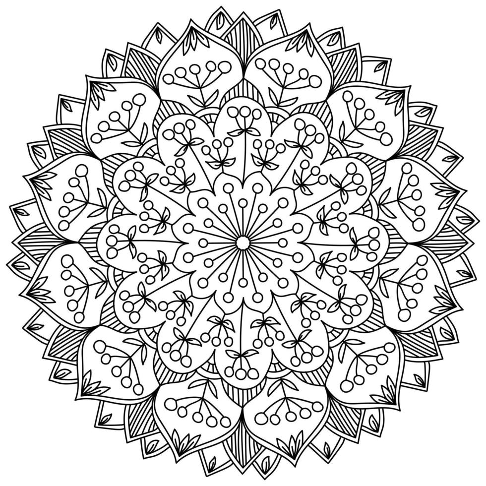 mandala ornamentada com cachos de bagas e folhas em pétalas de fantasia, página para colorir na forma de um círculo com motivos vegetais vetor