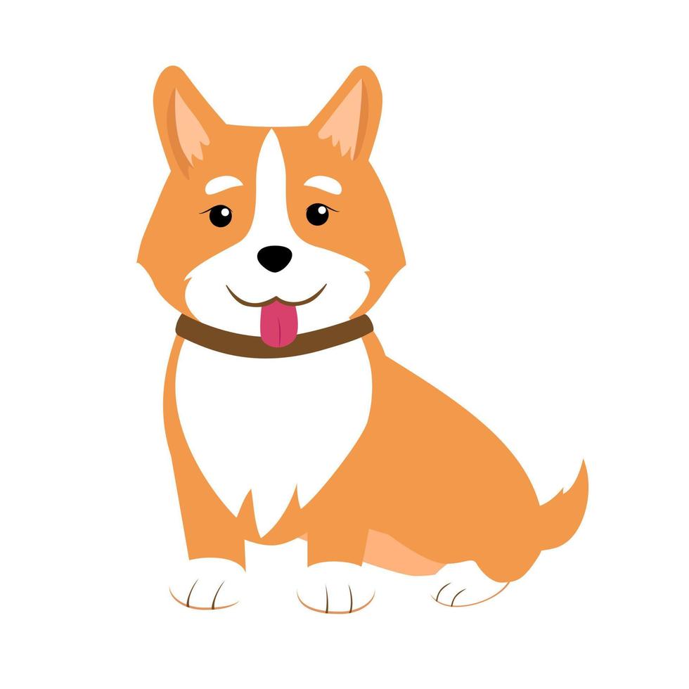 lindo cachorro corgi com língua de fora. personagem de ilustração vetorial em estilo simples vetor