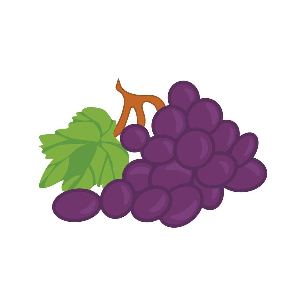 ilustração vetorial de uvas isoladas em um fundo branco vetor