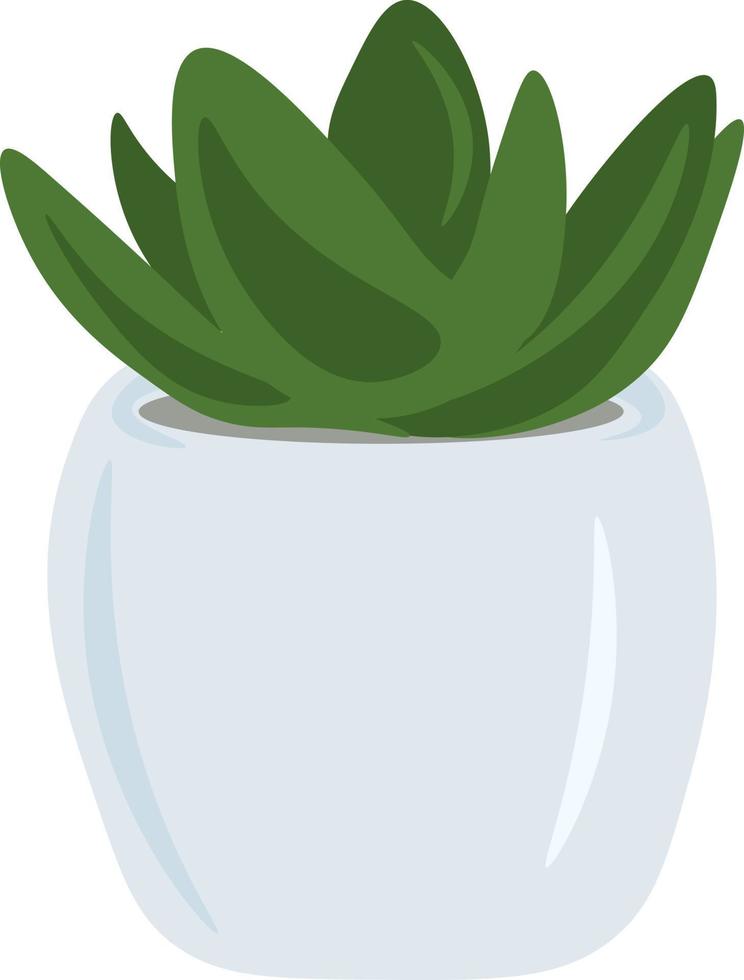 planta de aloe vera isolada em branco vetor