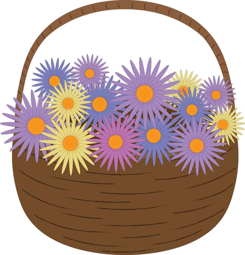 cesta cheia de ilustração vetorial de flores de áster de outono multicoloridas vetor