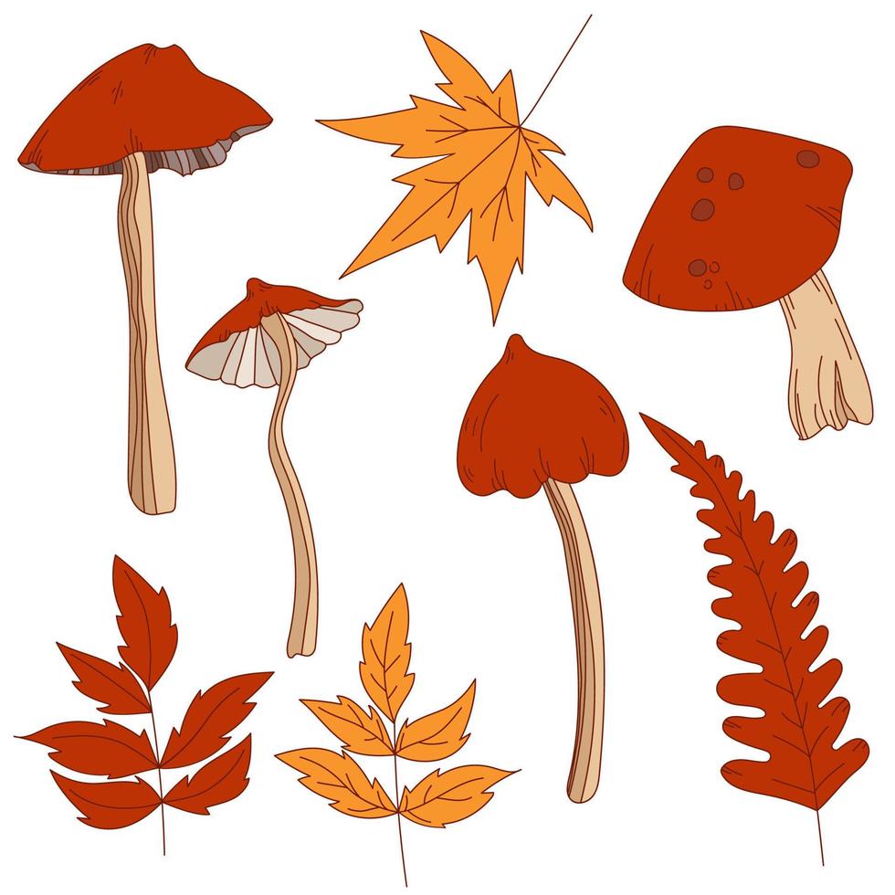 conjunto de vetores de linha desenhados à mão de vários tipos de cogumelos e folhas de outono maple, folhagem laranja, amarelo e vermelho coleção. ilustração de folha de outono colorida. projeto plano. textura de carimbo.