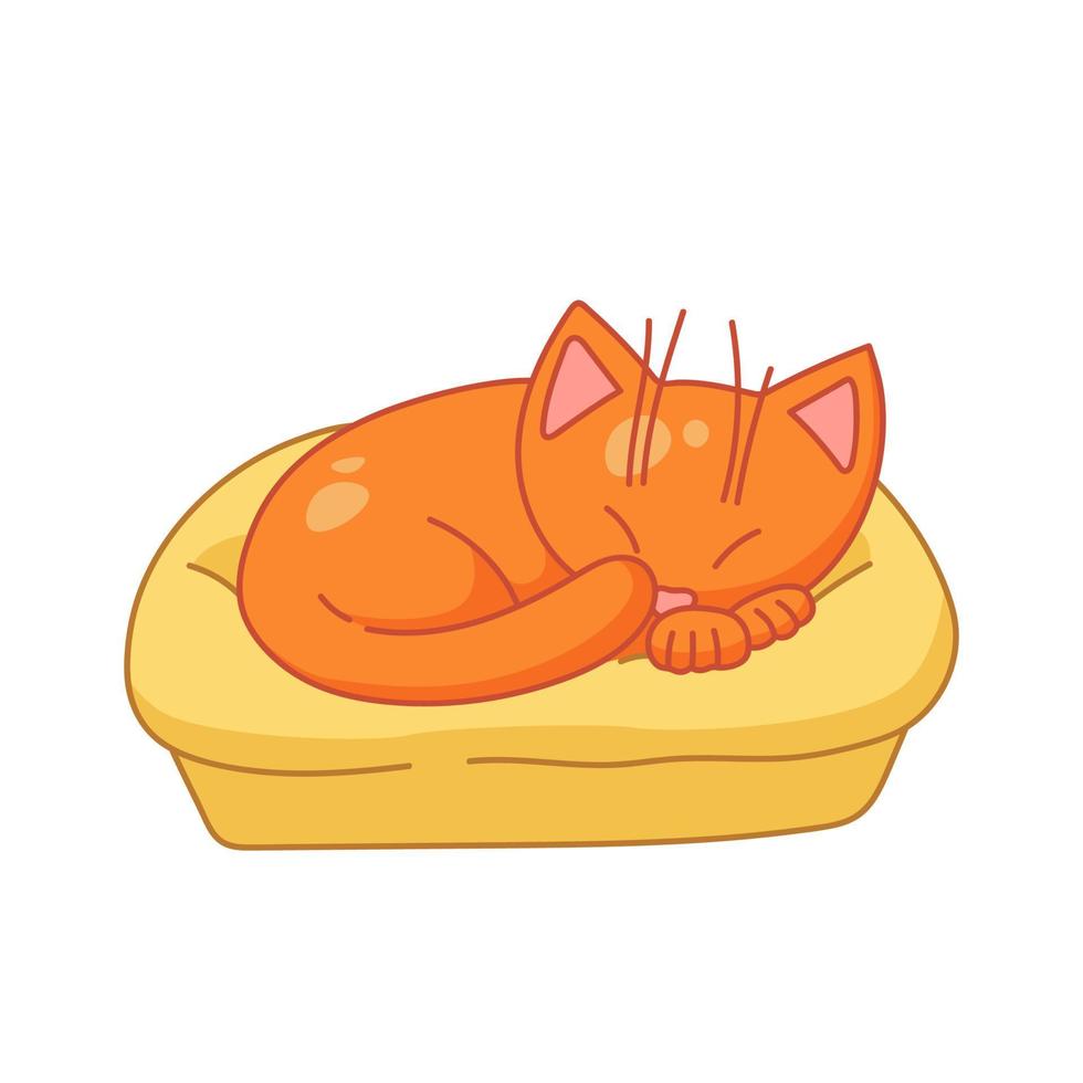 gato vermelho está dormindo. animal de estimação deitado na cama do gato. arte animal bonito. ilustração aconchegante em estilo cartoon. arte vetorial isolada no fundo branco. vetor