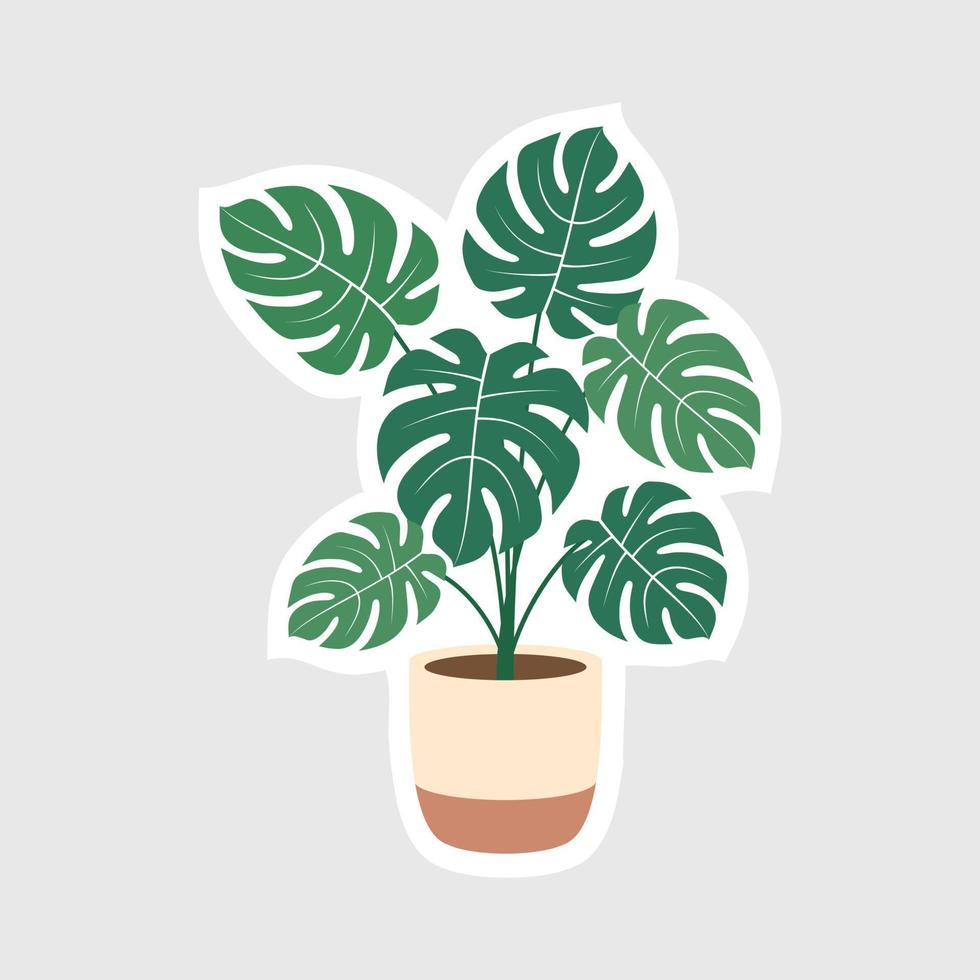 vetor de monstera deliciosa em um plantador creme e marrom