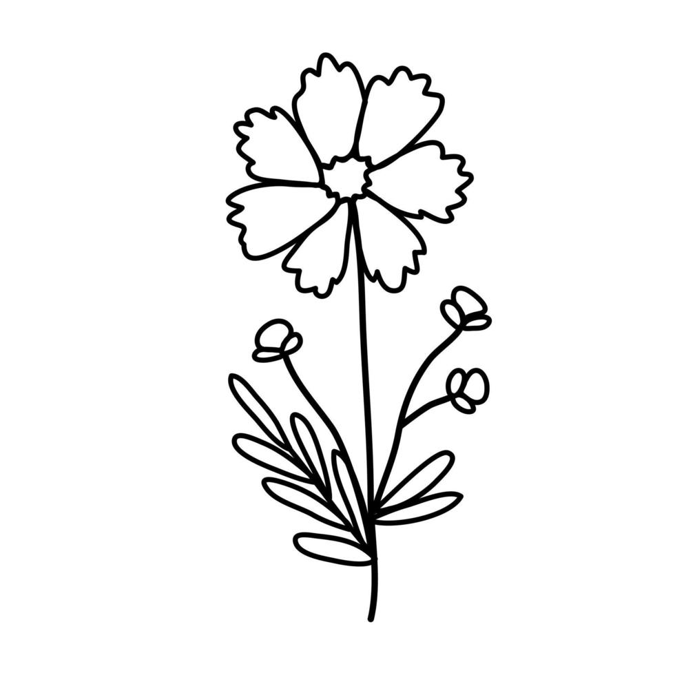 flor simples do cosmos. ilustração vetorial em um estilo bonito doodle. perfeito para cartões postais, design de mídia social, para uma embalagem ou design de casamento. ícone de linha vetor