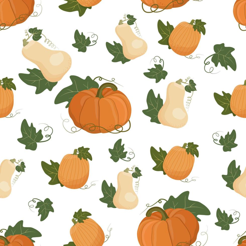 padrão de outono sem costura com diferentes abóboras multicoloridas em um fundo branco. vetor