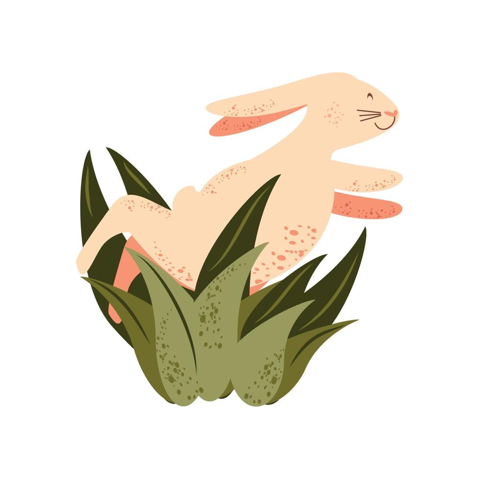 coelho pulando em plantas vetor