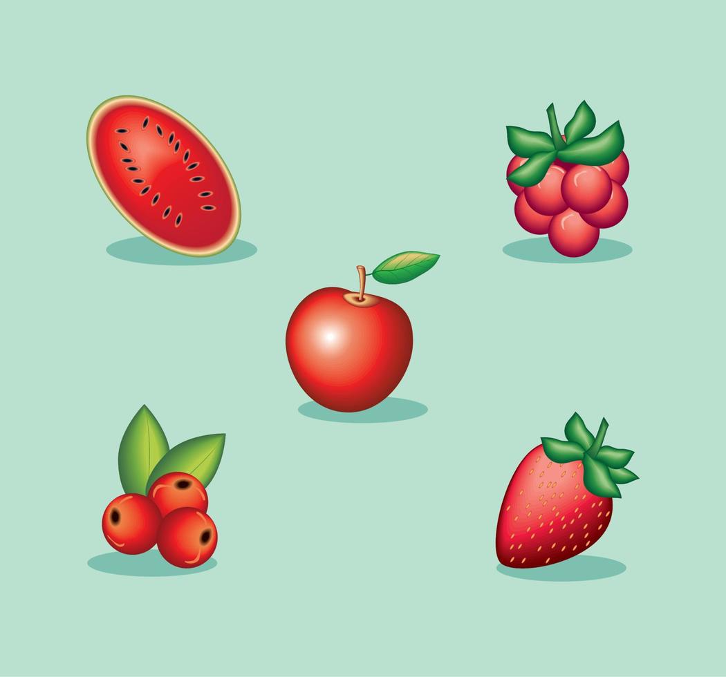 frutas vermelhas realistas, ícones vetor
