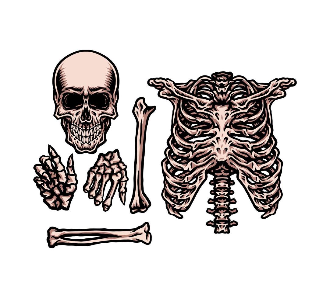 conjunto de esqueleto humano, estilo de linha desenhado à mão com cor digital, ilustração vetorial vetor