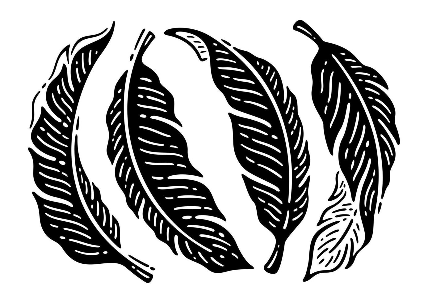 conjunto de folhas de bananeira tropical silhueta. ilustração de rabiscos de mão desenhada. vetor