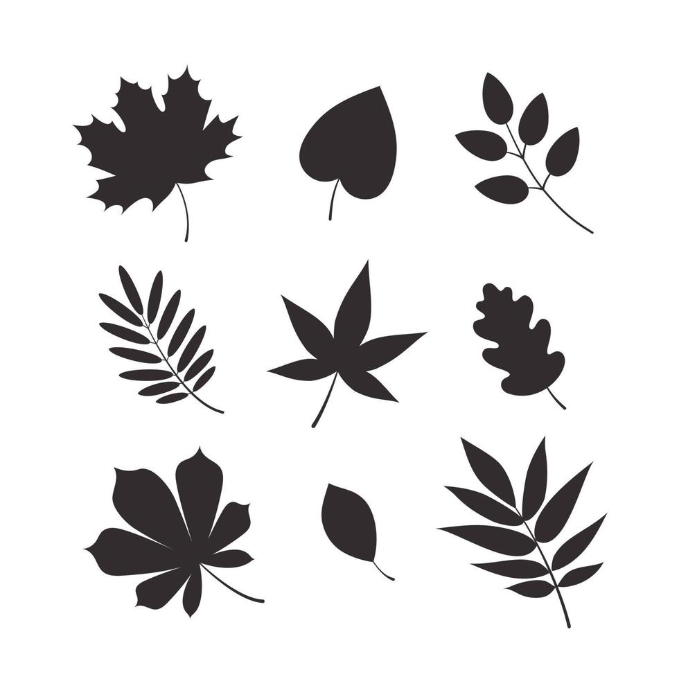 conjunto de vetores de silhuetas de folhas de outono. ilustração plana.