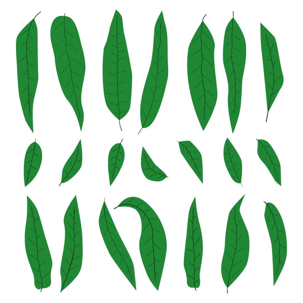 conjunto de folhas de manga desenhadas à mão, várias formas de coleção de folhas verdes simples abstratas, elementos para eco e bio design, decoração de acessórios para ilustração moderna vetor