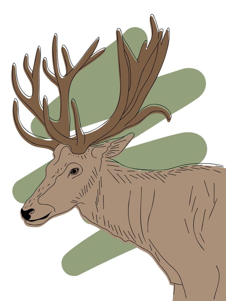 esboço desenhado à mão de cabeça de veado com chifres, retrato de animais selvagens em ilustração vetorial de fundo de rabisco abstrato vetor