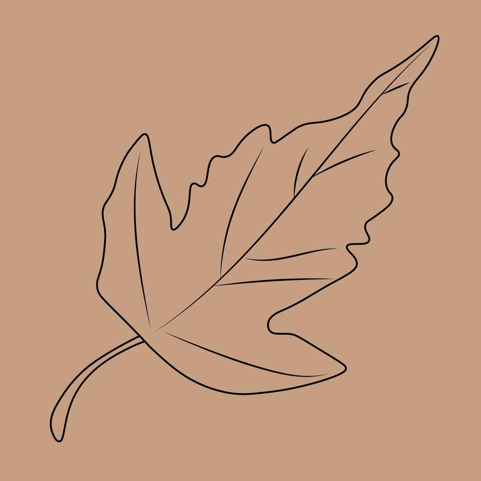 conjunto de contornos de folhas desenhadas à mão. ilustração vetorial. no fundo do outono vetor