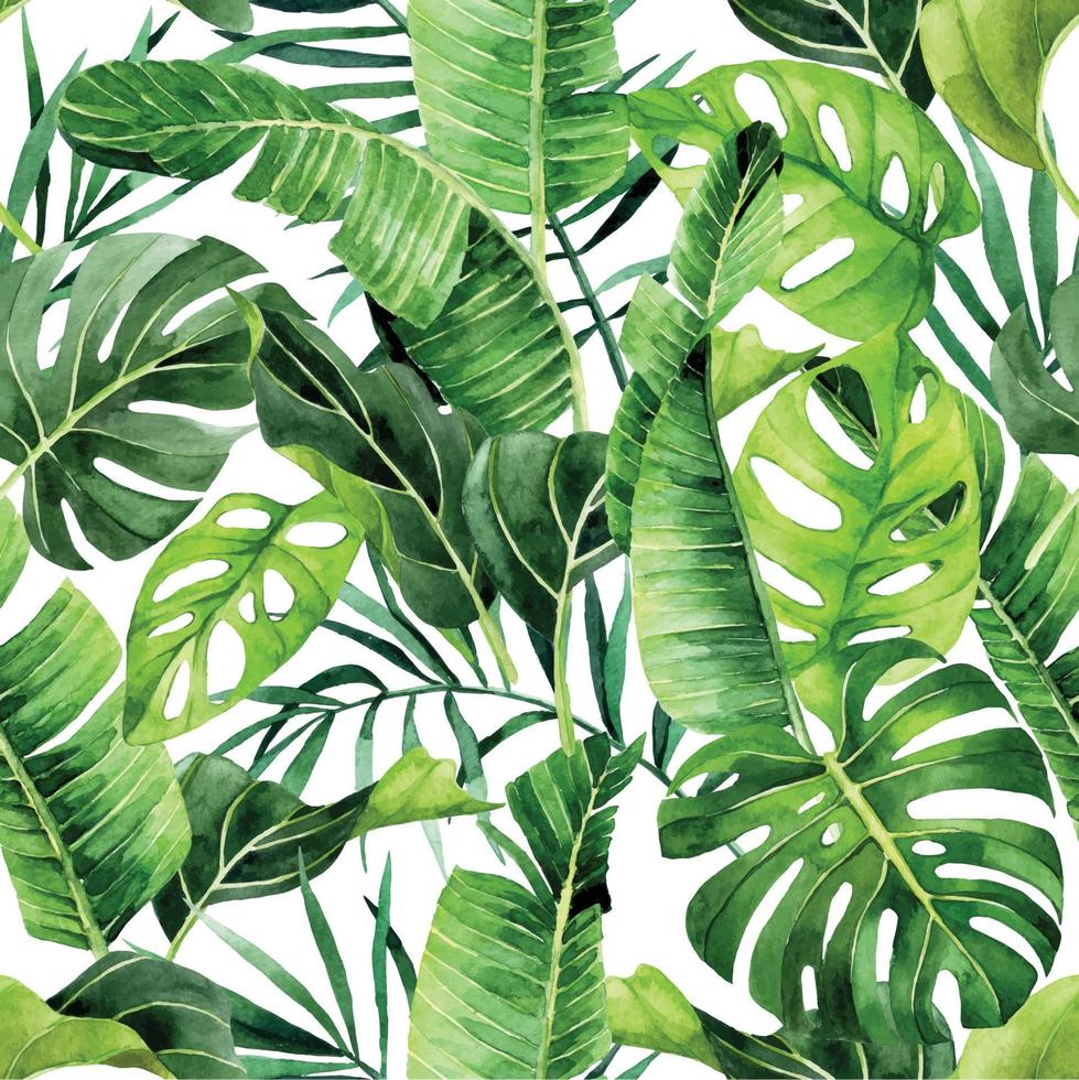 desenho em aquarela. sem costura padrão com folhas tropicais de palmeira, monstera. folhas verdes da floresta tropical no fundo branco vetor