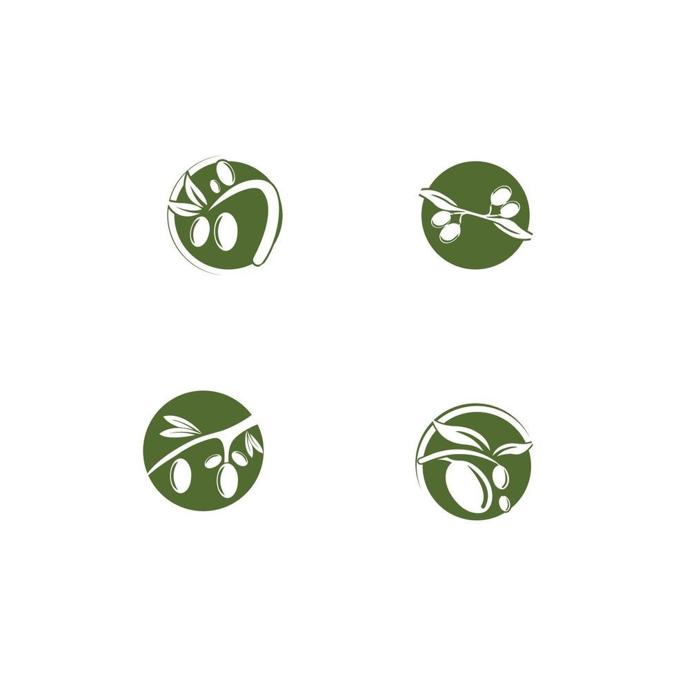 oliva logotipo modelo vetorial ícone ilustração design vetor