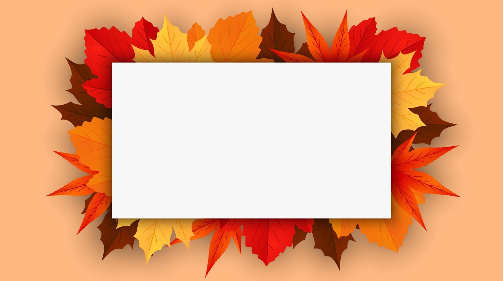 fundo de outono outono com folhas de plátano douradas, vermelhas e laranja isoladas no fundo com espaço para texto. ilustração vetorial vetor