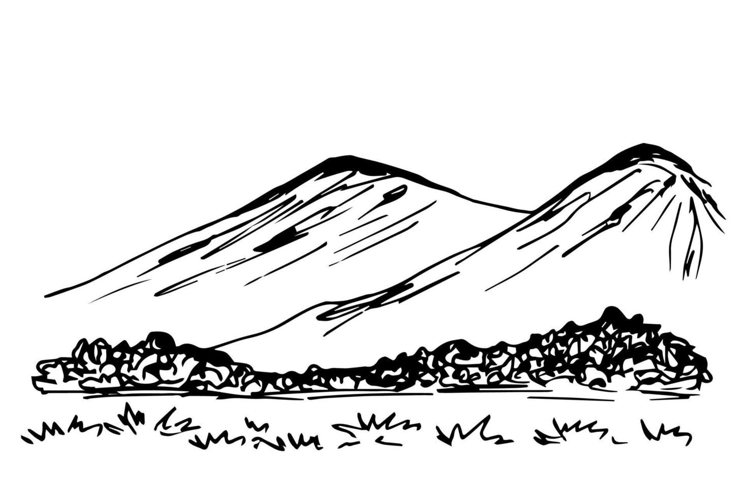 desenho de tinta preto e branco vetorial desenhado à mão. vida selvagem, paisagem de montanha, arbustos, grama em primeiro plano. a natureza dos países montanhosos, turismo, viagens. vetor