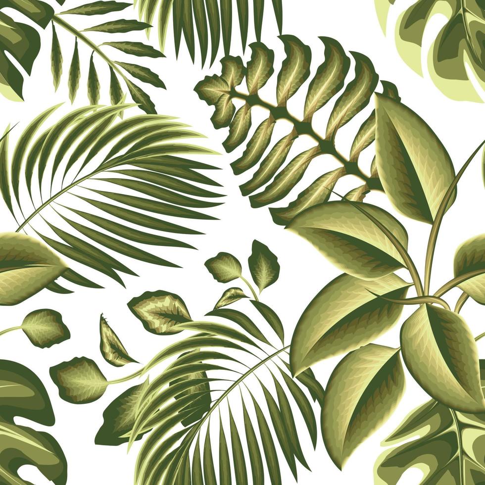 padrão sem emenda de ilustração de floresta tropical verde vintage com folhas tropicais de coco monstera e folhagem de plantas em estilo monocromático sobre fundo claro. natureza decorativa. tema de verão. textura vetor