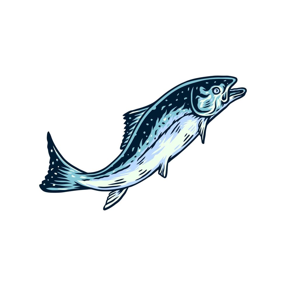 ilustração vetorial de peixe salmão e estilo de linha desenhada com cor digital vetor