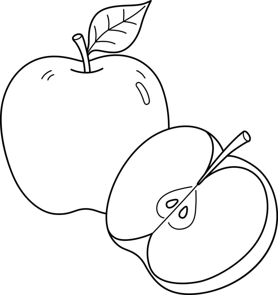 página para colorir isolada de frutas de maçã para crianças vetor