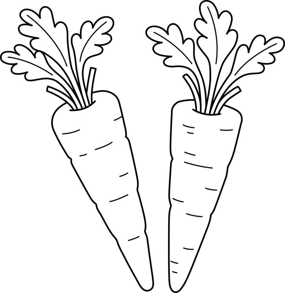 cenouras vegetais isoladas para colorir para crianças vetor