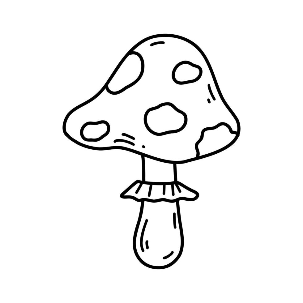 doodle desenhado à mão de agárico de mosca. ícone de cogumelo amanita. ilustração de esboço vetorial de cogumelo venenoso, elemento de halloween, arte de linha para web design, ícone, impressão, página para colorir vetor