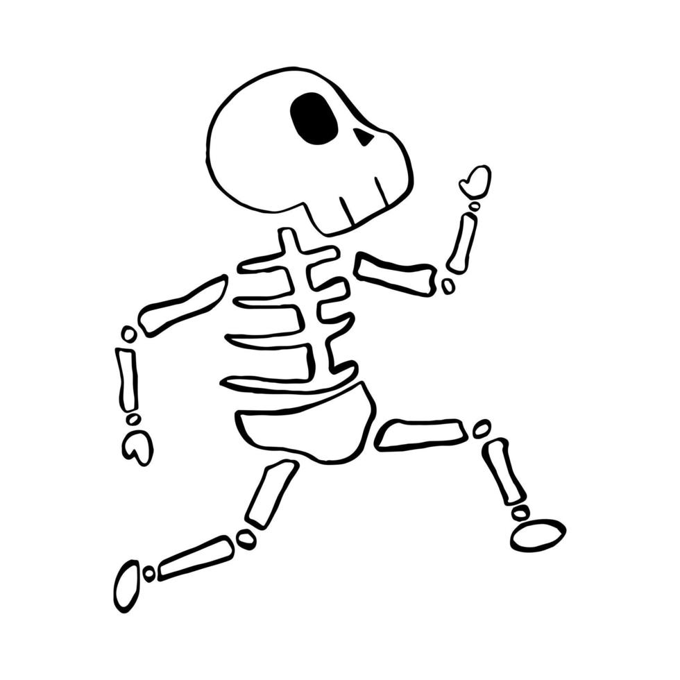 ilustração em vetor de linha de desenhos animados de esqueleto de halloween em fundo branco.