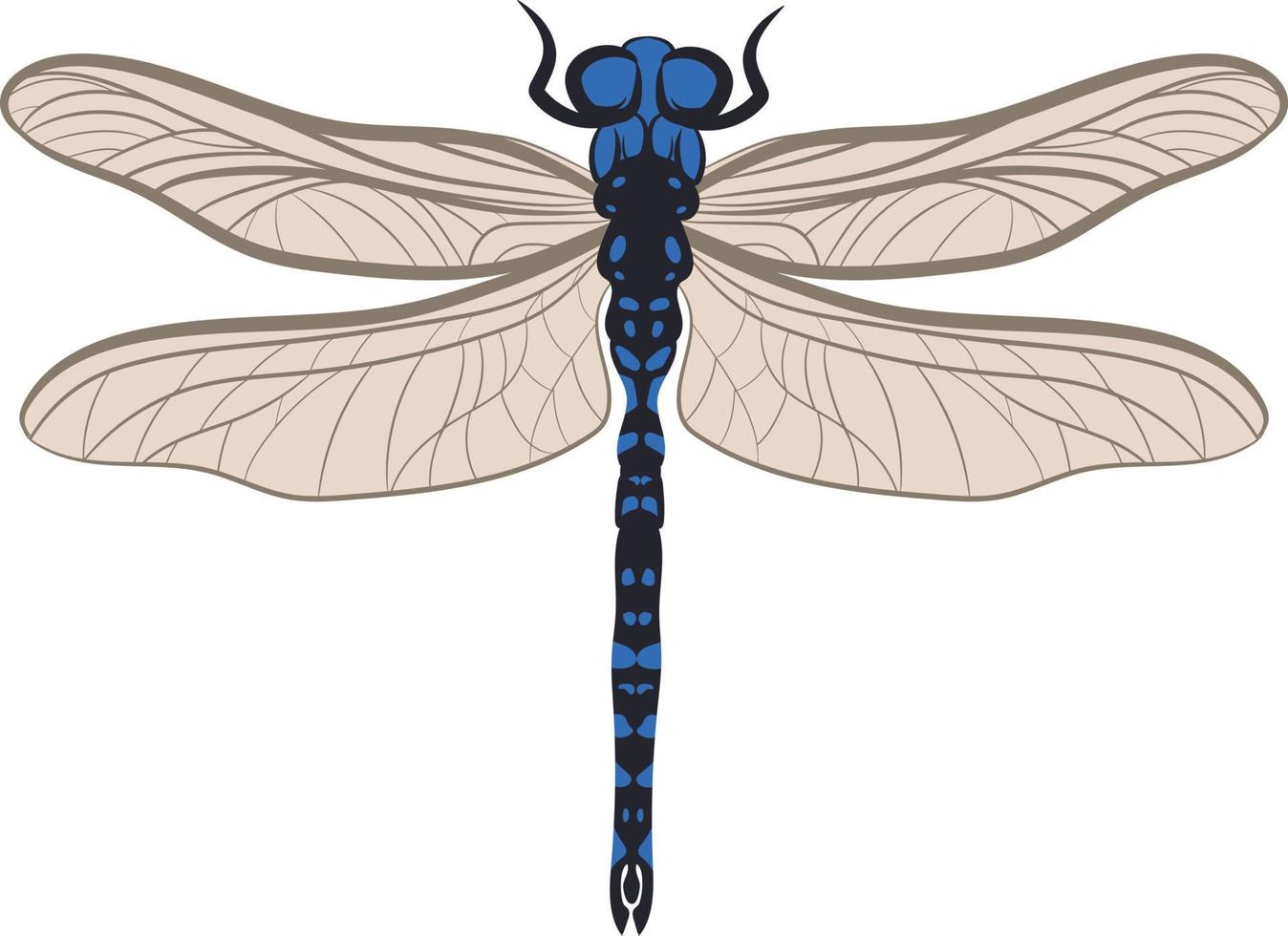 ilustração 2d de vista superior de libélula vetor