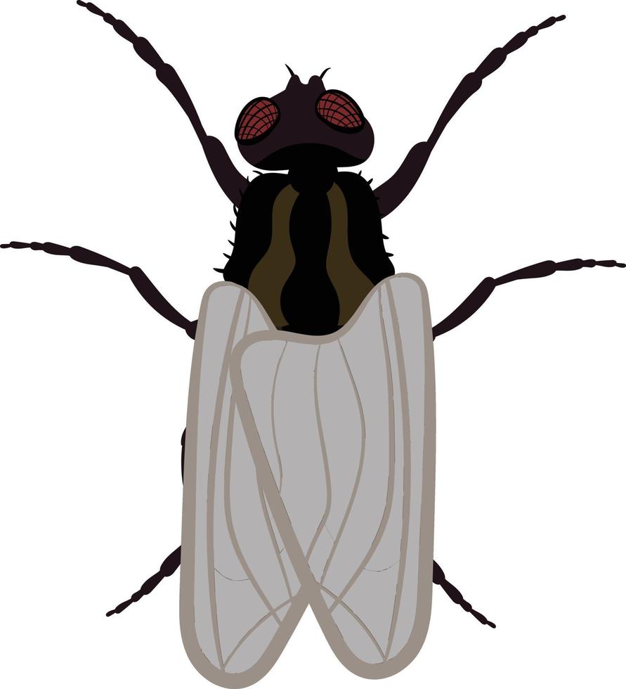 ilustração 2d de vista superior de mosca vetor
