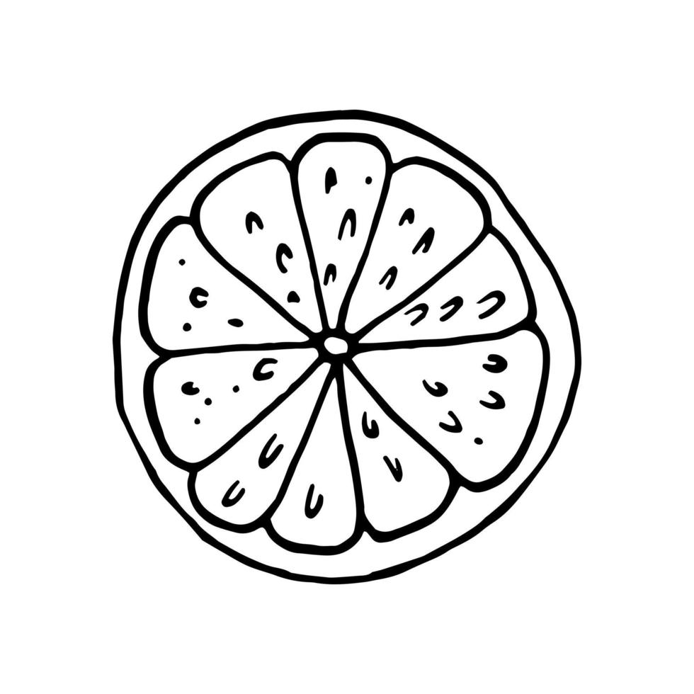 fatia de limão desenhada à mão em estilo doodle. fruta, comida. adesivo, decoração de ícone vetor
