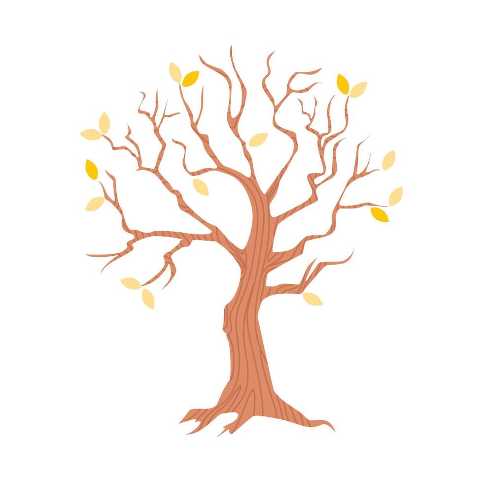 árvore careca com alguma folhagem amarela. clima de outono. ilustração vetorial isolada no fundo branco. vetor