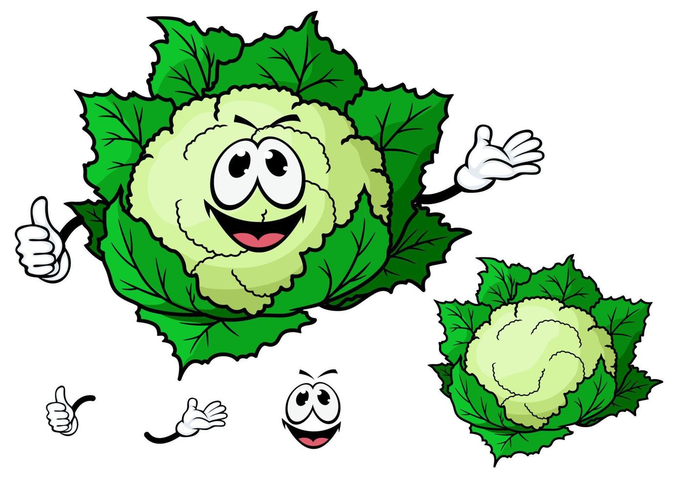vegetal de couve-flor feliz sorridente dos desenhos animados vetor