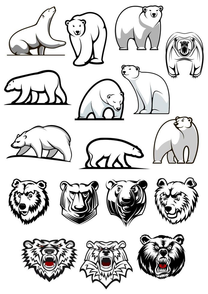 personagens de desenhos animados de urso polar branco vetor