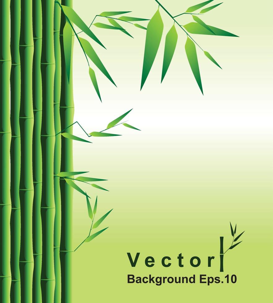 vetor de fundo verde de bambu eps 10