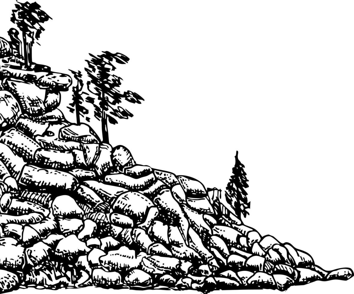 ilustrações vetoriais desenhadas à mão as montanhas com uma floresta de coníferas em estilo de gravura vetor