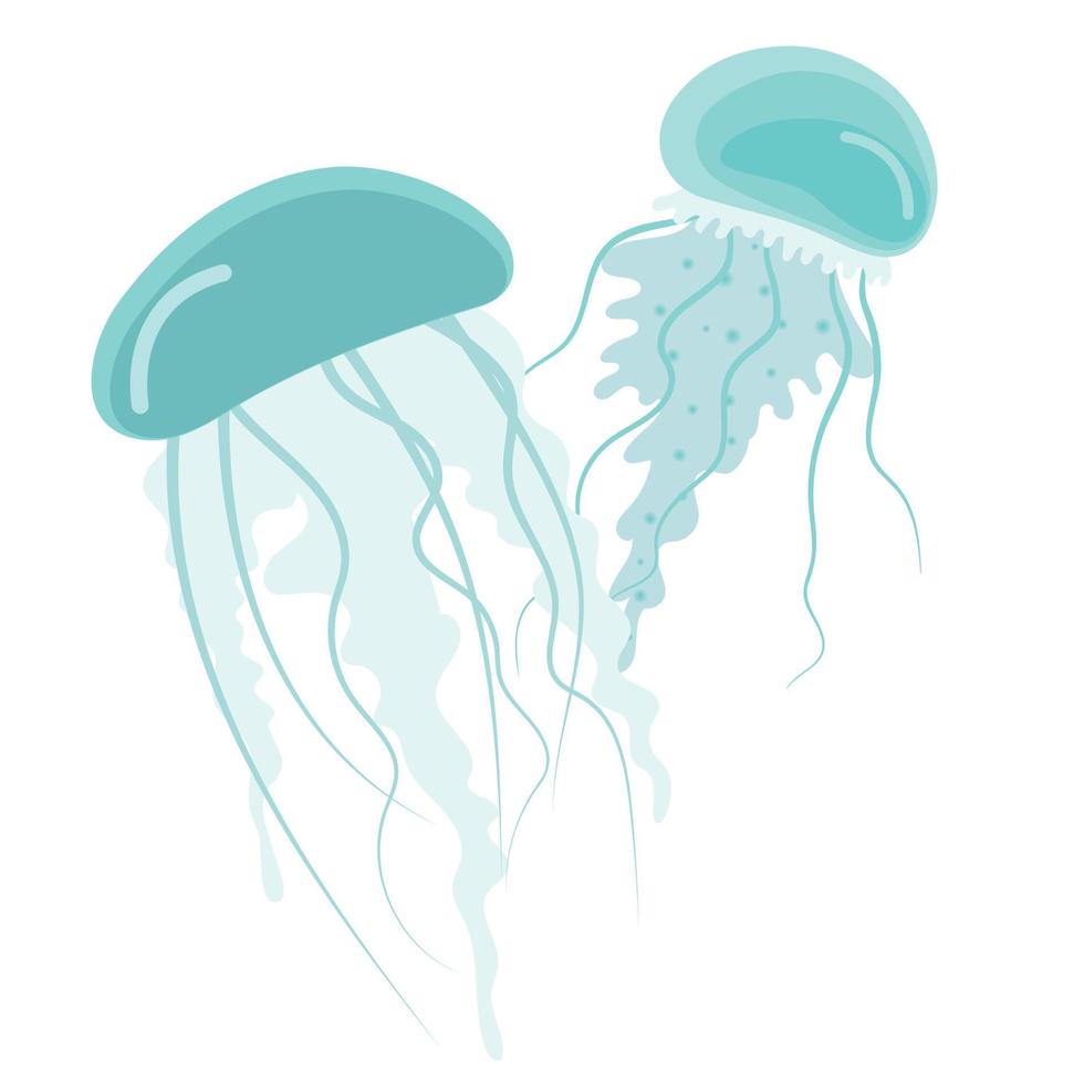 casal de medusas vetor
