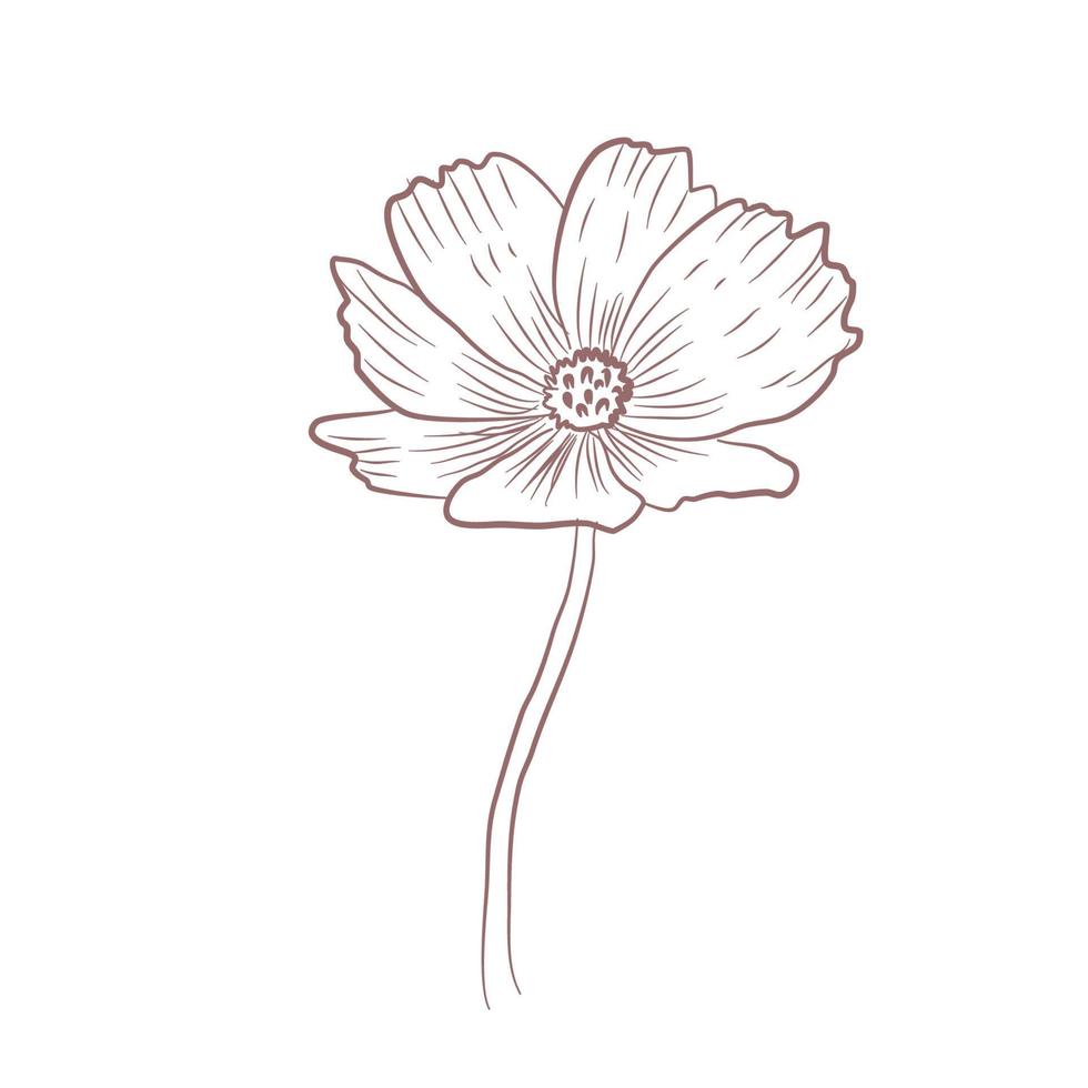 ilustração em vetor de arte de linha de esboço de flor desenhada à mão