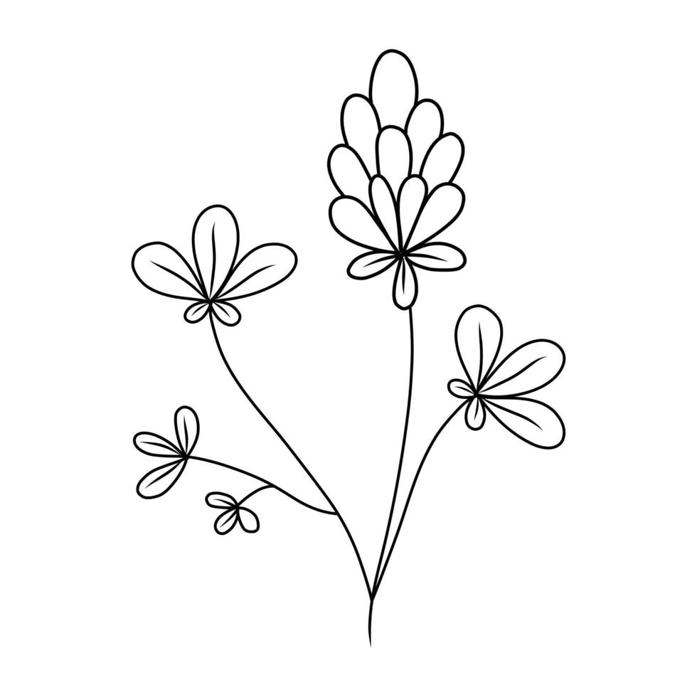 ilustração em vetor de um trevo com folhas no estilo de um doodle em um fundo branco.