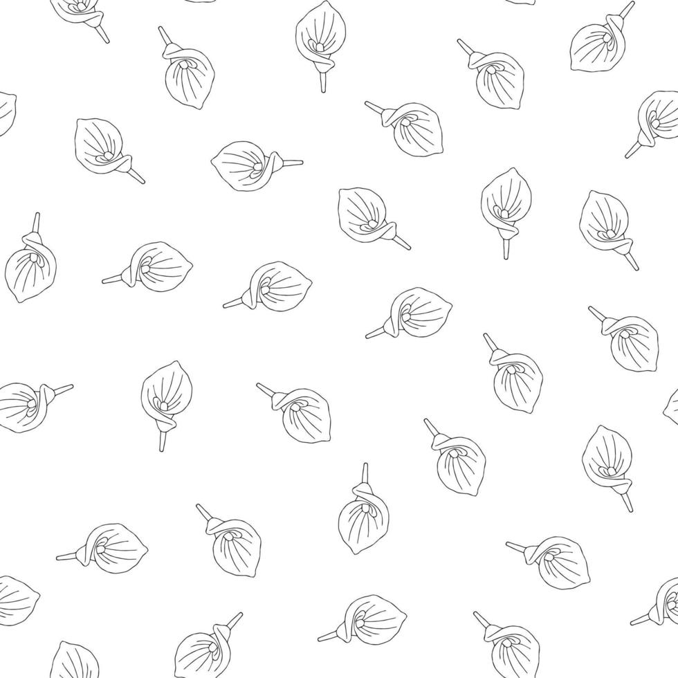 padrão sem emenda de flores doodle. antúrio de flor da selva desenhado à mão em um fundo branco. elemento tropical exótico de vetor decorativo para cartões de convites, têxteis, impressão e design.