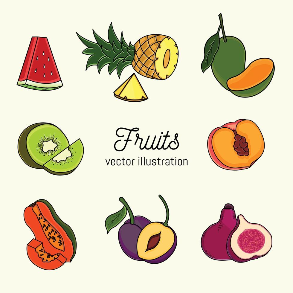 conjunto de ilustração vetorial de frutas vetor