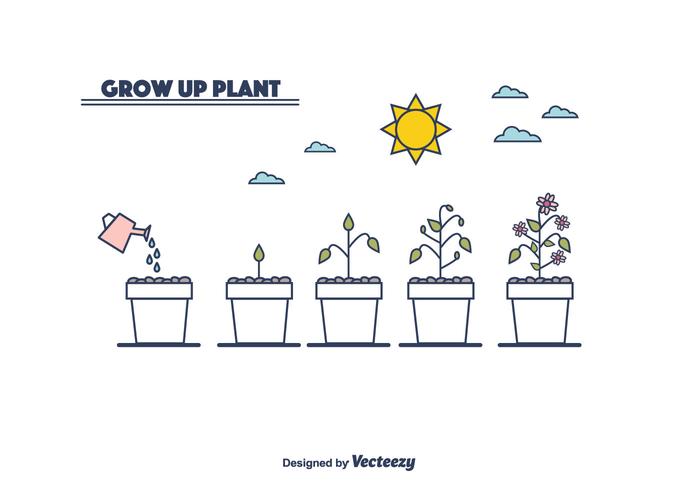 Vetor do ciclo de crescimento da planta